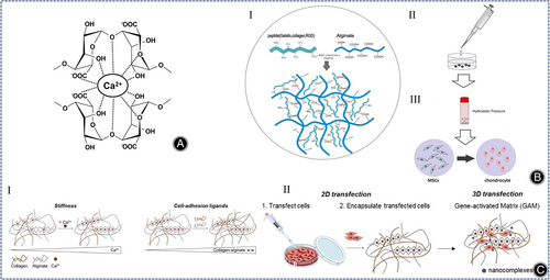 Details are in the caption following the image Details are in the caption following the image