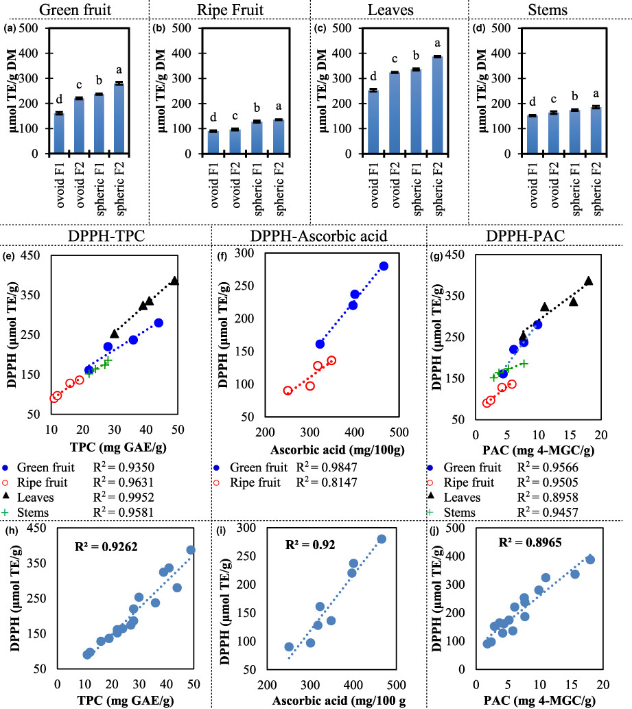 Antioxidant and antimicrobial activity of two Costa Rican cultivars of ber (Ziziphus mauritiana): An underexploited crop in the American tropic