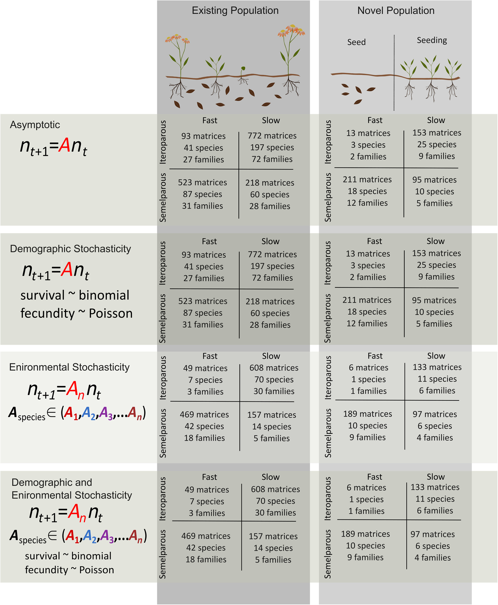 Pace and parity predict the short-term persistence of small plant populations