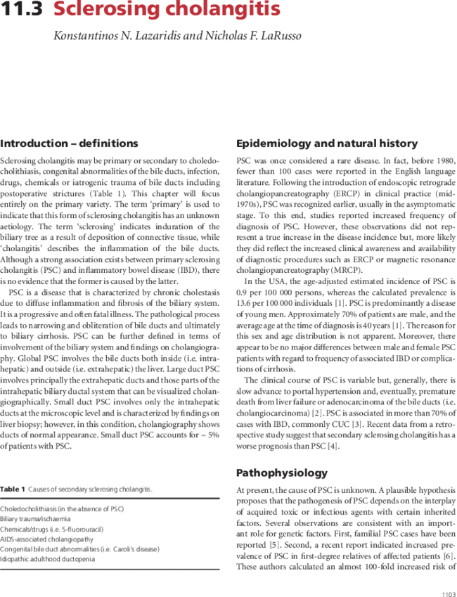 First page image