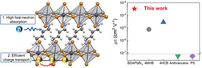 Direct Fast-Neutron Detection by 2D Perovskite Semiconductor