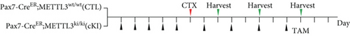 Details are in the caption following the image
