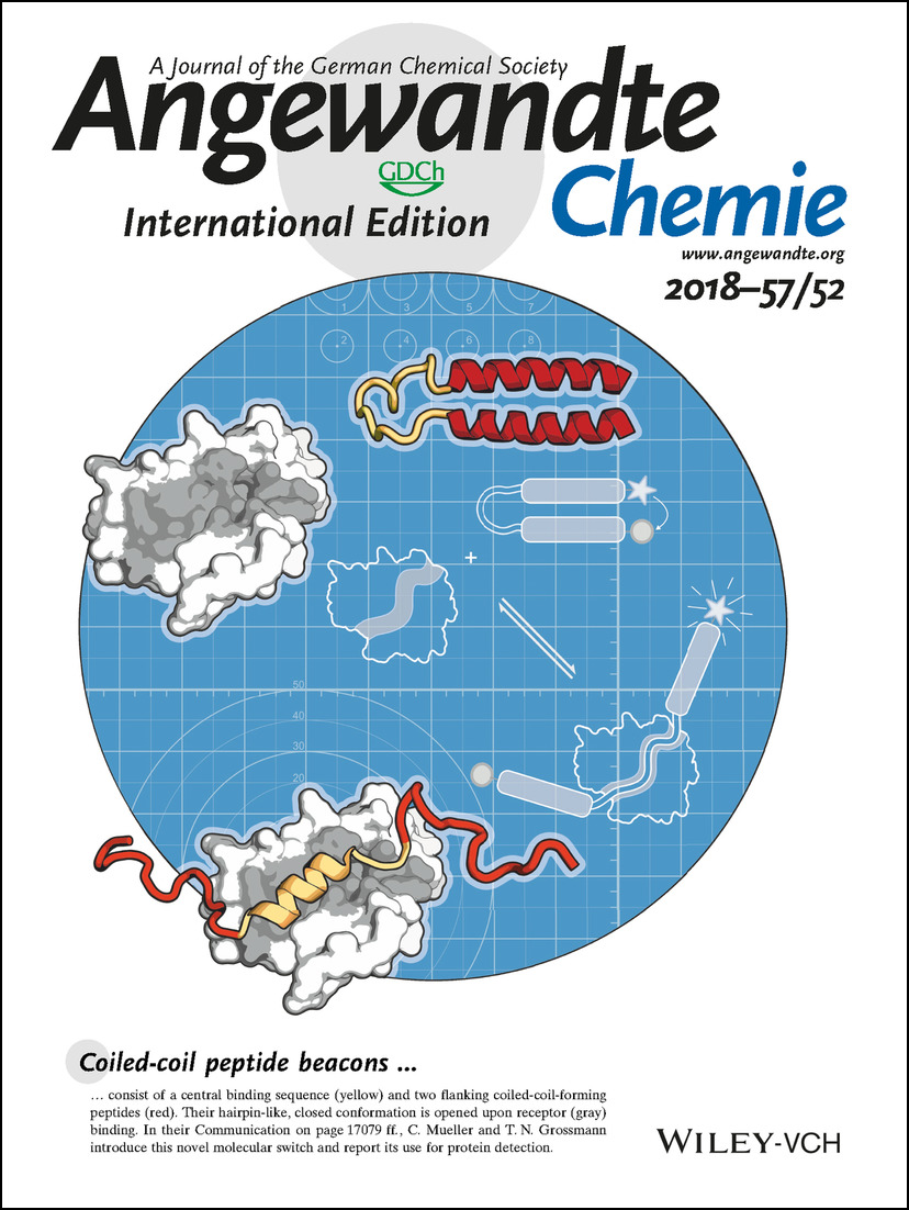 Inside Back Cover: Coiled-Coil Peptide Beacon: A Tunable Conformational Switch for Protein Detection (Angew. Chem. Int. Ed. 52/2018) Volume 57 Issue 52, 2018