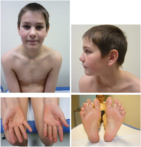 Details are in the caption following the image Details are in the caption following the image