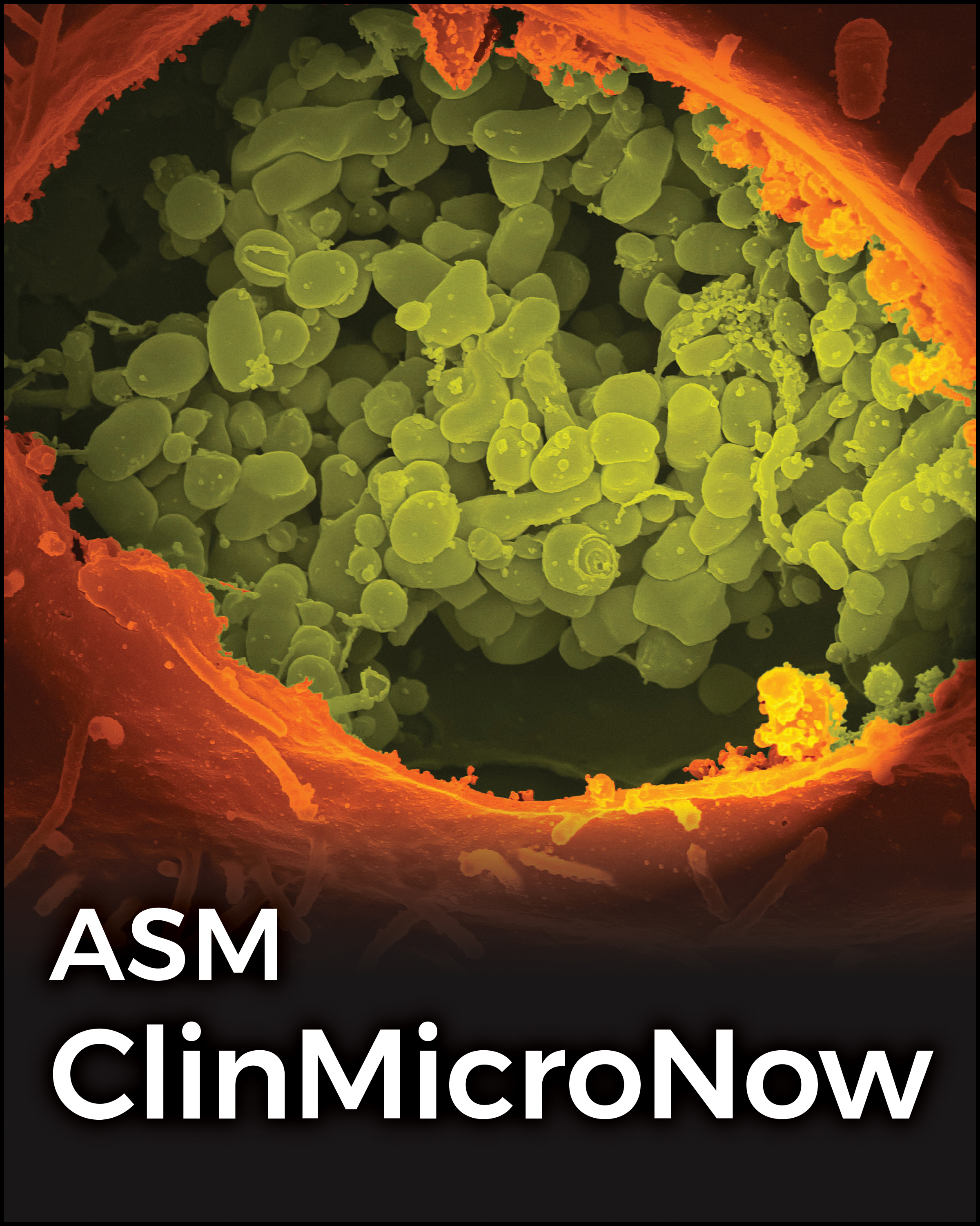 Cover image of ClinMicroNow