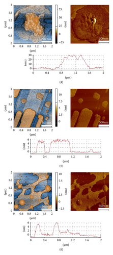 Details are in the caption following the image Details are in the caption following the image