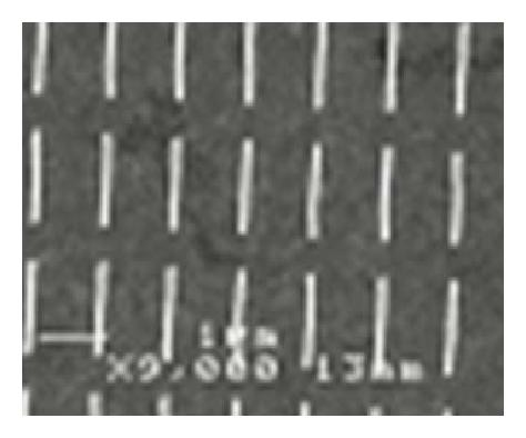 Details are in the caption following the image