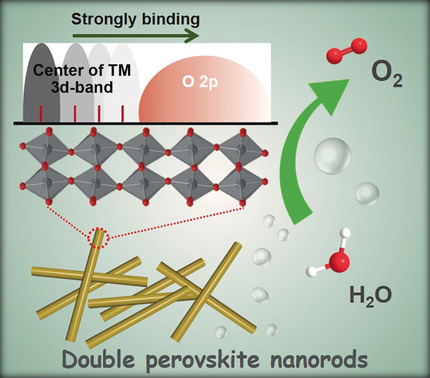 Double Perovskite LaFexNi1−xO3 Nanorods Enable Efficient Oxygen Evolution Electrocatalysis