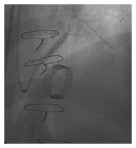 Details are in the caption following the image Details are in the caption following the image