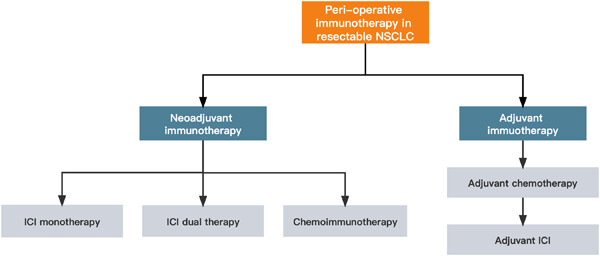 Adjuvant and neo-adjuvant immunotherapy in resectable non-small cell lung cancer (NSCLC): Current status and perspectives