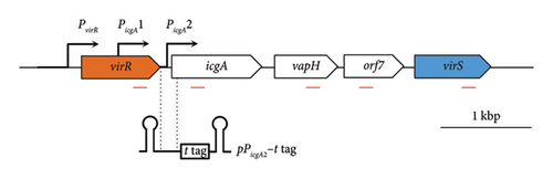 Details are in the caption following the image