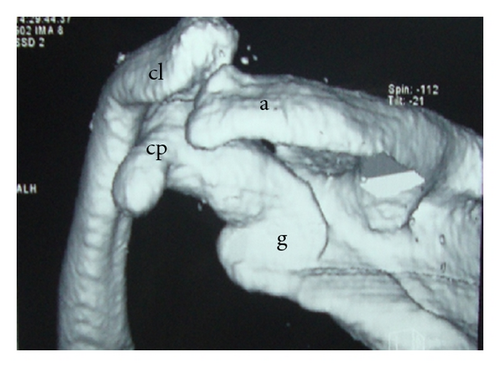 Details are in the caption following the image