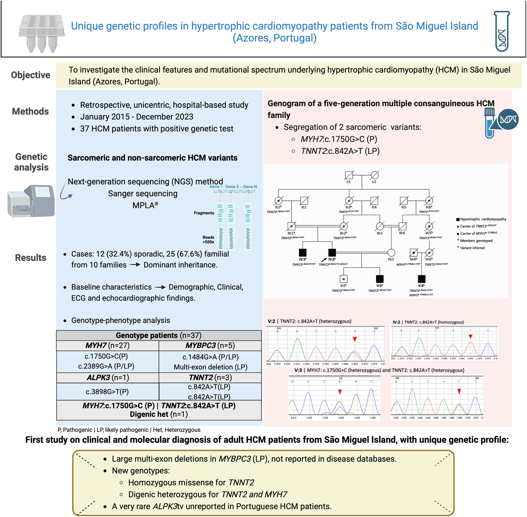 Unique Genetic Profiles in Hypertrophic Cardiomyopathy Patients From São Miguel Island (Azores, Portugal)