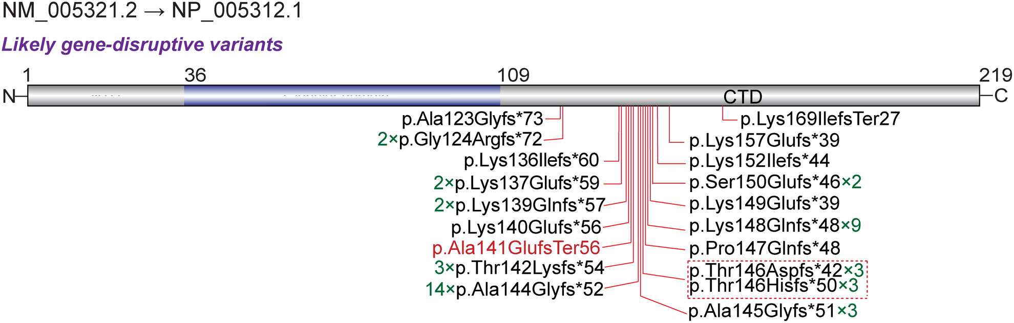 A case report of a novel HIST1H1E mutation and a review of the bibliography to evaluate the genotype–phenotype correlations