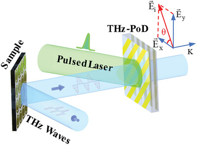 Optically Tunable Ultrafast Broadband Terahertz Polarimetric Device Using Nonvolatile Phase-Change Material