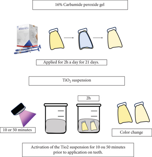 Details are in the caption following the image