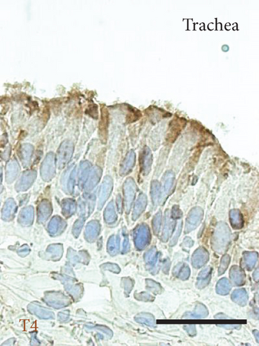 Details are in the caption following the image