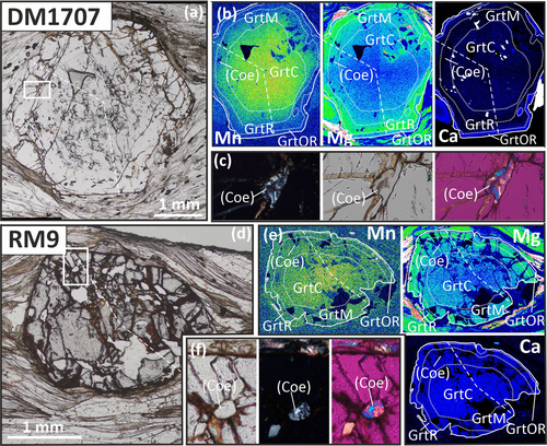 Details are in the caption following the image Details are in the caption following the image