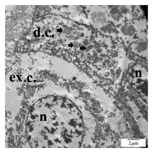 Details are in the caption following the image