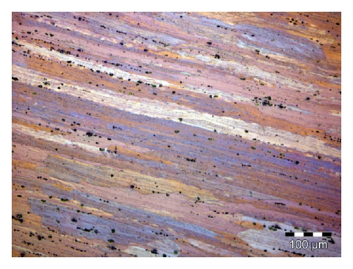 Details are in the caption following the image Details are in the caption following the image