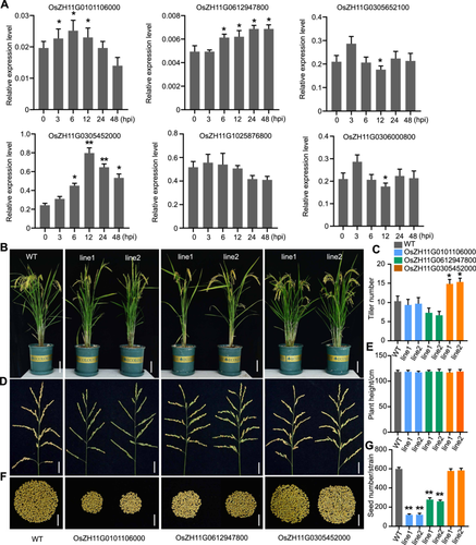 Details are in the caption following the image Details are in the caption following the image