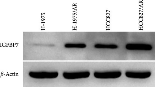 Details are in the caption following the image