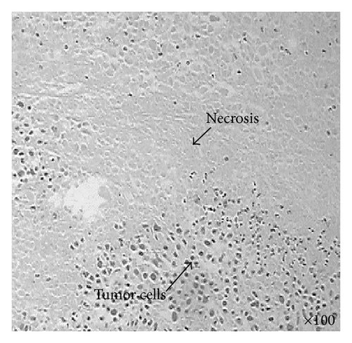 Details are in the caption following the image