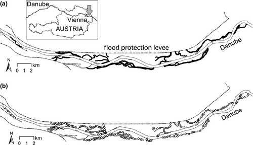 Details are in the caption following the image Details are in the caption following the image