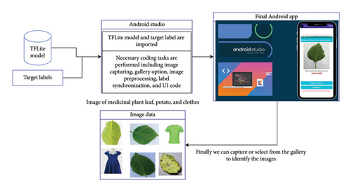 Details are in the caption following the image Details are in the caption following the image
