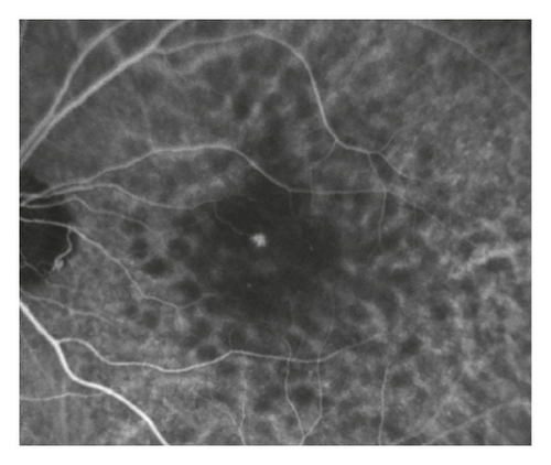 Details are in the caption following the image Details are in the caption following the image