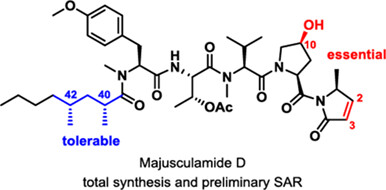 Synthesis of Anti-Pancreatic Cancer Natural Product Majusculamide D and Analogues Reveals a Preliminary Structure-Activity Relationships