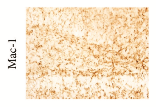 Details are in the caption following the image