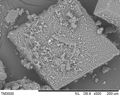 Influence of Solution Composition and Temperature on the Crystal Form of Sodium Dehydroacetate