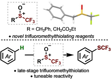 Trifluoromethyl Sulfoxides: Reagents for Metal-Free C−H Trifluoromethylthiolation