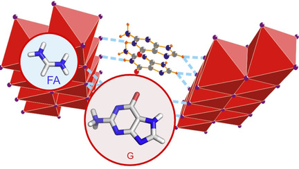 Guanine-Stabilized Formamidinium Lead Iodide Perovskites