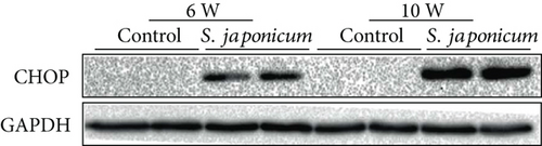 Details are in the caption following the image