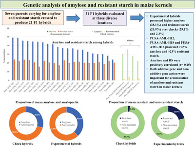 Genetic Analysis of Accumulation of Amylose and Resistant Starch in Subtropical Maize Hybrids