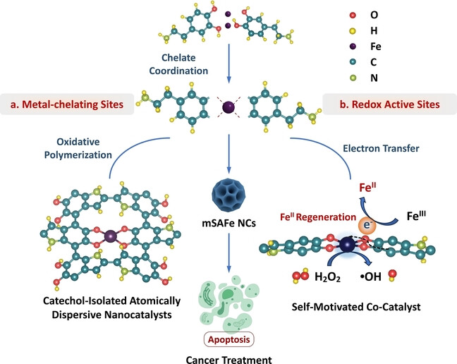 Catechol-Isolated Atomically Dispersed Nanocatalysts for Self-Motivated Cocatalytic Tumor Therapy