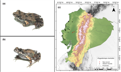 Details are in the caption following the image