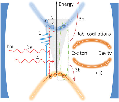 Spontaneous Emission of Plasmon-Exciton Polaritons Revealed by Ultrafast Nonradiative Decays