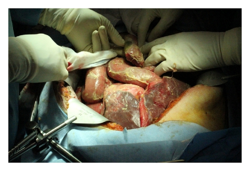Details are in the caption following the image Details are in the caption following the image