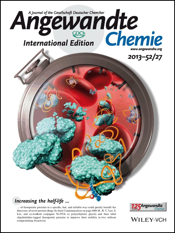 Back Cover: Mix to Validate: A Facile, Reversible PEGylation for Fast Screening of Potential Therapeutic Proteins In Vivo (Angew. Chem. Int. Ed. 27/2013)