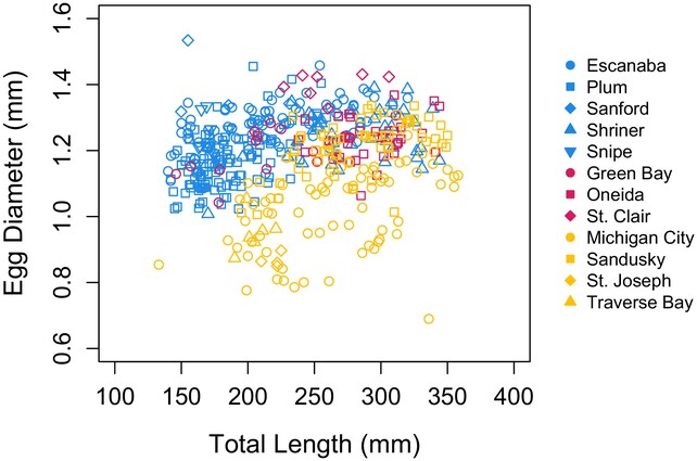 Egg Size Scales Negatively With System Size in a Periodic Fish Species