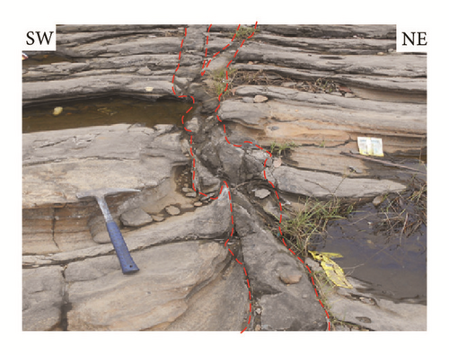 Details are in the caption following the image Details are in the caption following the image