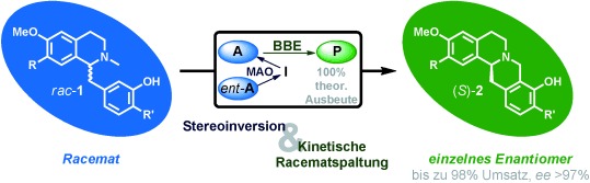 Deracemisierung durch simultane bio-oxidative Racematspaltung und Stereoinversion