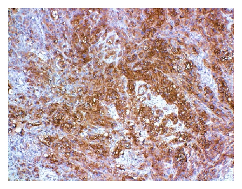 Details are in the caption following the image