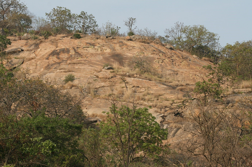 Details are in the caption following the image