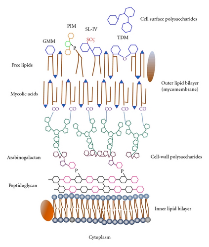 Details are in the caption following the image Details are in the caption following the image