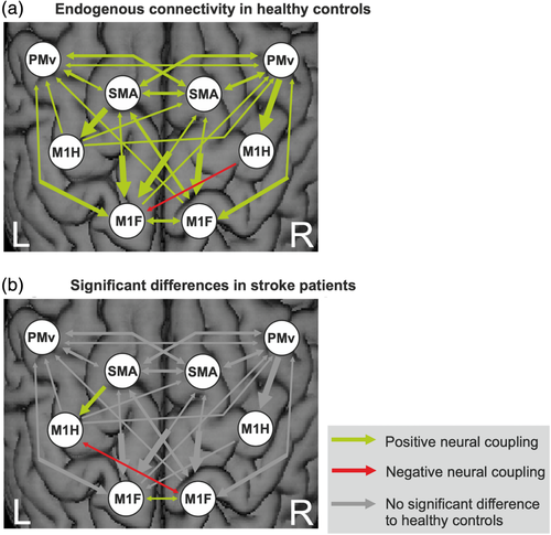 Details are in the caption following the image Details are in the caption following the image