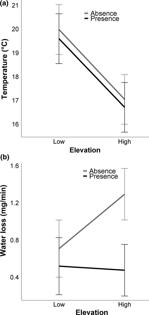 The Bogert effect revisited: Salamander regulatory behaviors are differently constrained by time and space